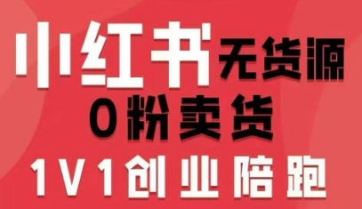 小红书无货源0粉电商课，开店准备、选品策略、笔记撰写、视频剪辑、数据分析、账号打造、资料文档（更新）