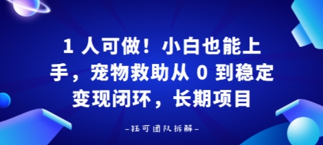 1人可做！小白也能上手，宠物救助从 0 到稳定变现闭环，长期项目