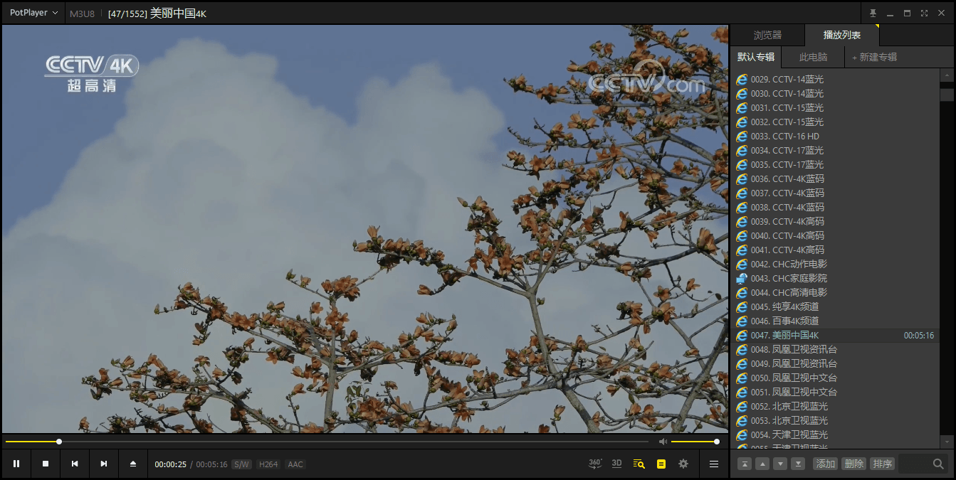 PotPlayer v1.7.22980绿色版