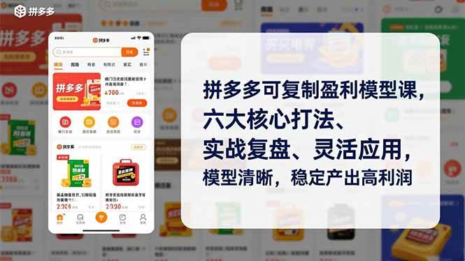 图片[1]-（16952期）拼多多可复制盈利模型课，六大核心打法、实战复盘、灵活应用，模型清晰，稳定产出高利润-千猫网创