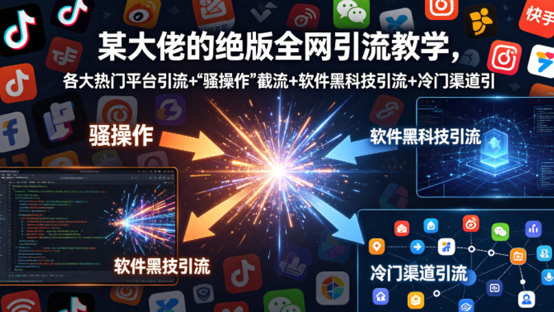 某大佬的绝版全网引流教学，各大热门平台引流+