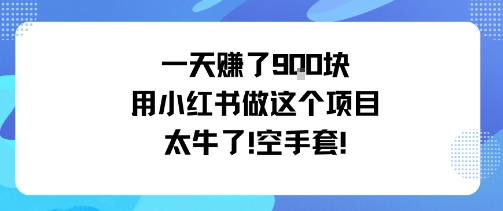 一天挣了9张用小红书做这个项目太牛了，空手套