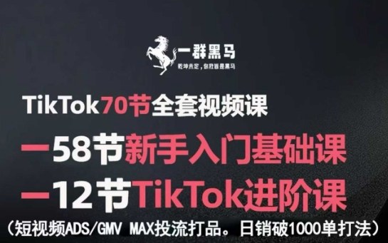 TikTok全套视频课，新手入门+进阶课，短视频ADS-GMV MAX投流打品，日销破1000单打法