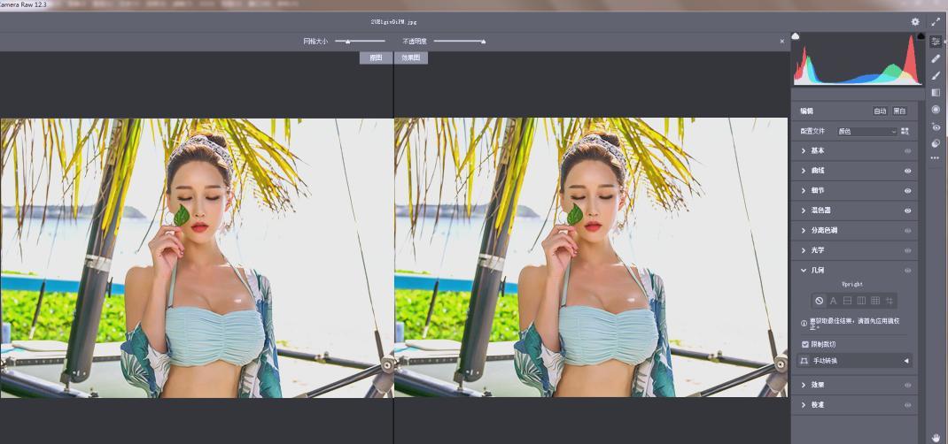 RAW处理Adobe Camera Raw v18.2.0中文版-趣奇资源网-第4张图片