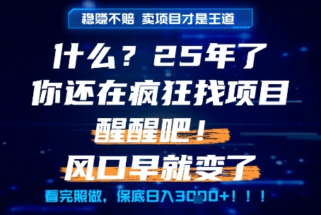 什么?25年你还在疯狂找项目做,醒醒吧,看完这些你全都懂了!【揭秘】-千猫网创