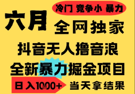25年6月高爆抖音无人直播最新撸音浪掘金项目，小白可做，无脑日入1k+，门槛低可批量矩阵【揭秘】-千猫网创