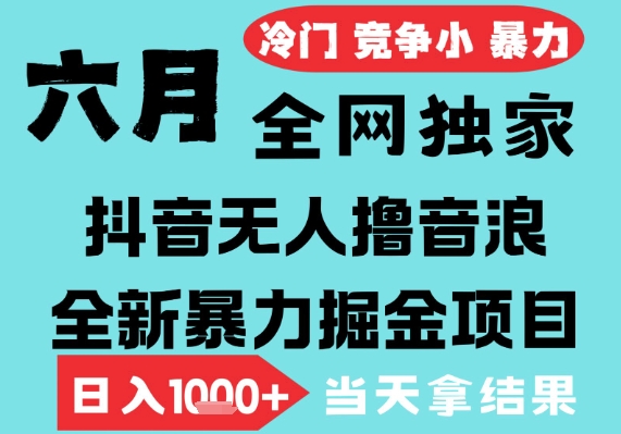 2025年6月高爆抖音无人直播最新撸音浪掘金项目，无脑日入1k+，低门槛小白可做，可矩阵放大【揭秘】-千猫网创