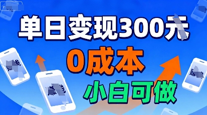 适合新手起步，零成本就能做，当天操作当天见收益，还能无限复制放大的项目