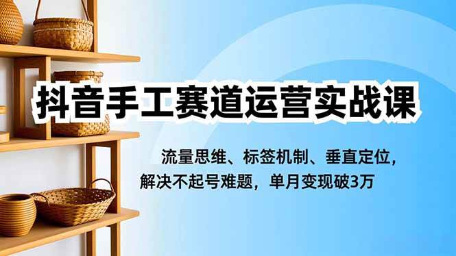 图片[1]-（16667期）抖音手工赛道运营实战课，流量思维、标签机制、垂直定位，解决不起号难题，单月变现破3万-千猫网创