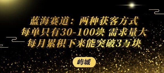 蓝海赛道：两种获客方式每单只有30-100米&nbsp;需求量大每月累积下来能突破3W