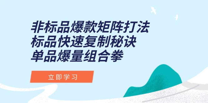 （15068期）非标品爆款矩阵打法，标品快速复制秘诀，单品爆量组合拳-千猫网创