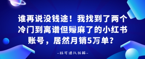 谁再说没钱途！我找到了两个冷门到离谱但賺麻了的小红书账号，居然月销5W单？